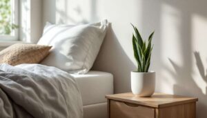 Bogenhanf: Warum Schlafzimmer-Experten genau diese Pflanze für die Nacht empfehlen