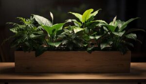 Pflanzen für dunkle Räume: Diese 6 Arten brauchen laut Gärtnern kaum Licht